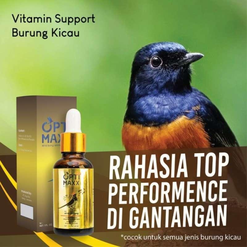 Agen Gacor Populer: Solusi Terbaik Untuk Burung Hobi Anda